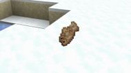Adult polar bears only drop raw cod or salmon with few XP points (Image via Minecraft 1.19)